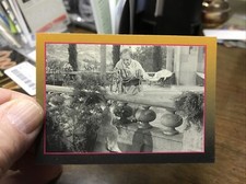 THE BEVERLY HILLBILLIES T.V. SHOW ~ TRADING CARD # 40 THE GIANT JACKRABBIT