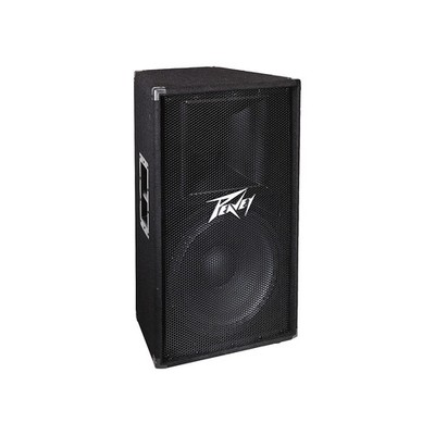 Peavey PV 115 2Way 15'' Speaker Cabinet LN