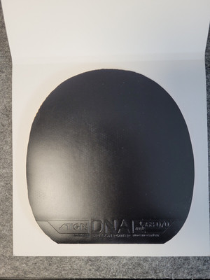 STIGA DNA Dragon Power 55.0 / schwarz / 2.15
