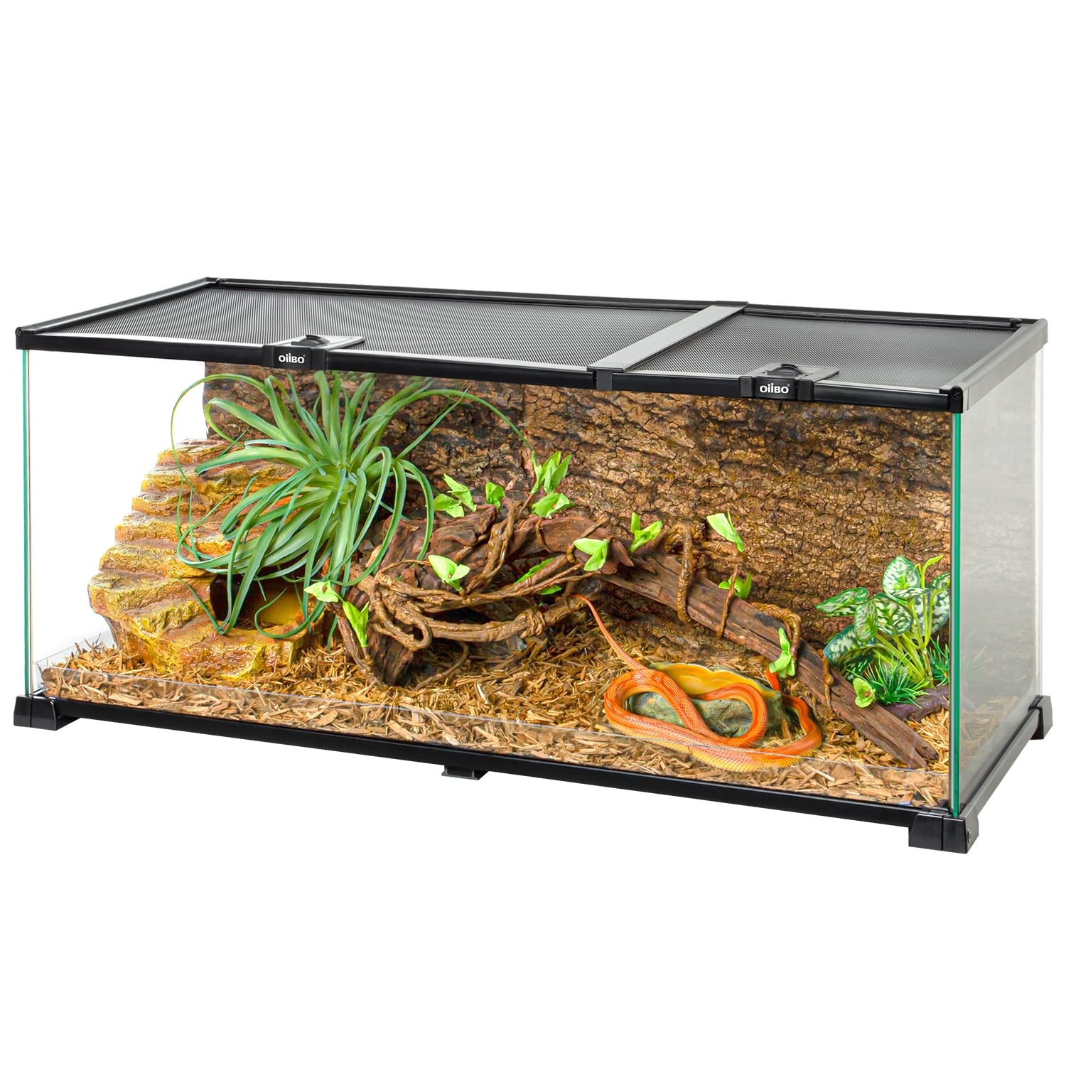 20 Gallon Glass Reptile Terrarium Tank 30x12x12 with Top Feeding & Dual Sliding Doors
