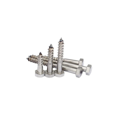 M5 M6 M8 M10 Edelstahl Wagenschraube Sechskant Sechskantkopf Holzschrauben Lag Bolts