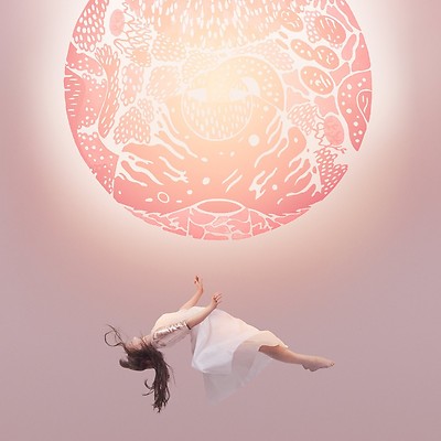 PURITY RING - ANOTHER ETERNITY  VINYL LP + DOWNLOAD NEU 