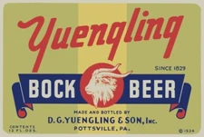 Yuengling Bock Beer of Pottsville, Pennsylvania WV NEW Sign 16x24" USA STEEL