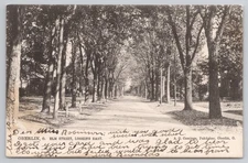 Tuck Postcard Oberlin, Ohio,  Elm Street, Looking East Dirt Road Trees