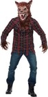 Full Moon Werewolf Adult Costume