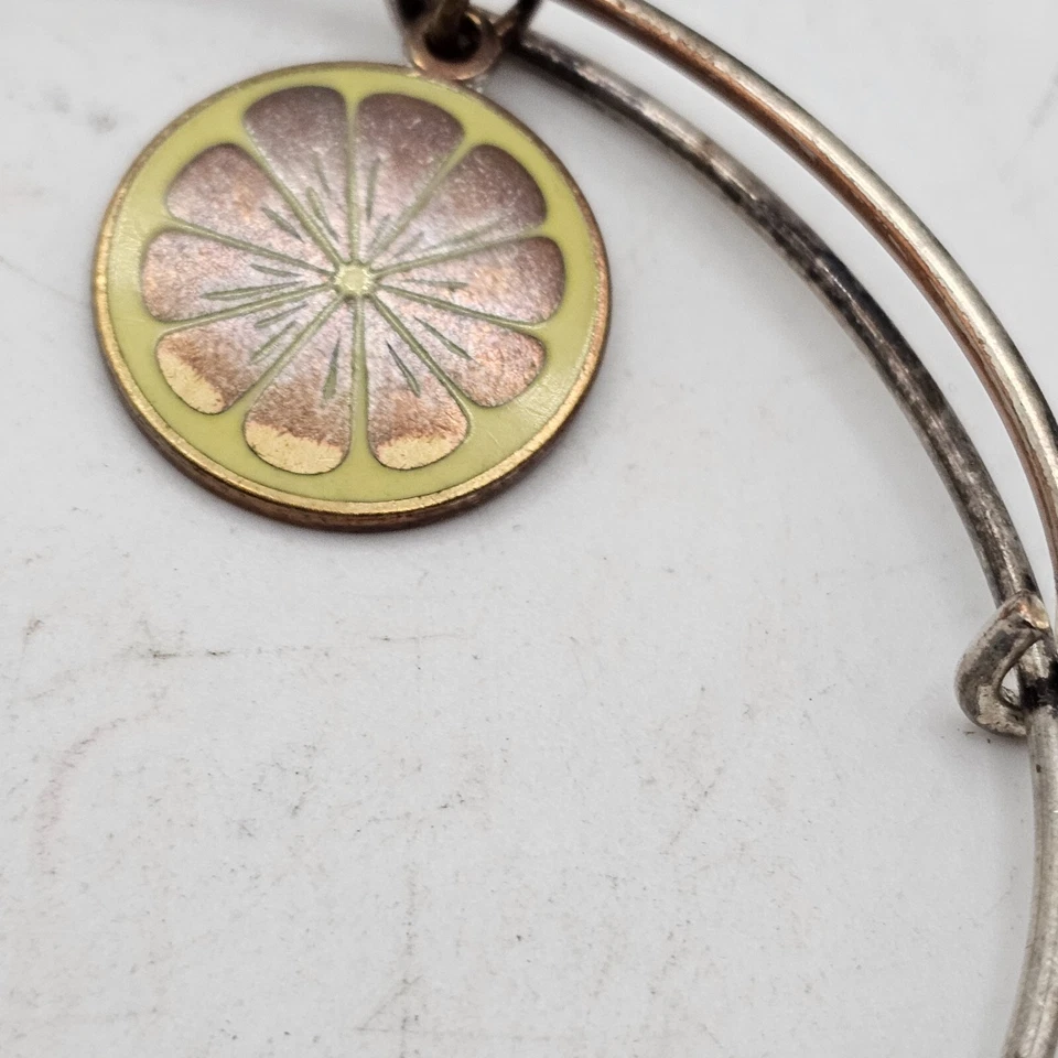 Juego de 2 Brazaletes Brazalete Alex & Ani Tono Plata Dije Piedra Púrpura y Limón Foto 4 de 4