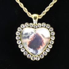 Heart Picture + Glass Photo Pendant Gold Plated Stainless Steel Necklace Jewelry