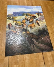 INTO THE PALO DURO ~  500 PC. PUZZLE FROM SUNSOUT~ COMPLETE ~ VGUC