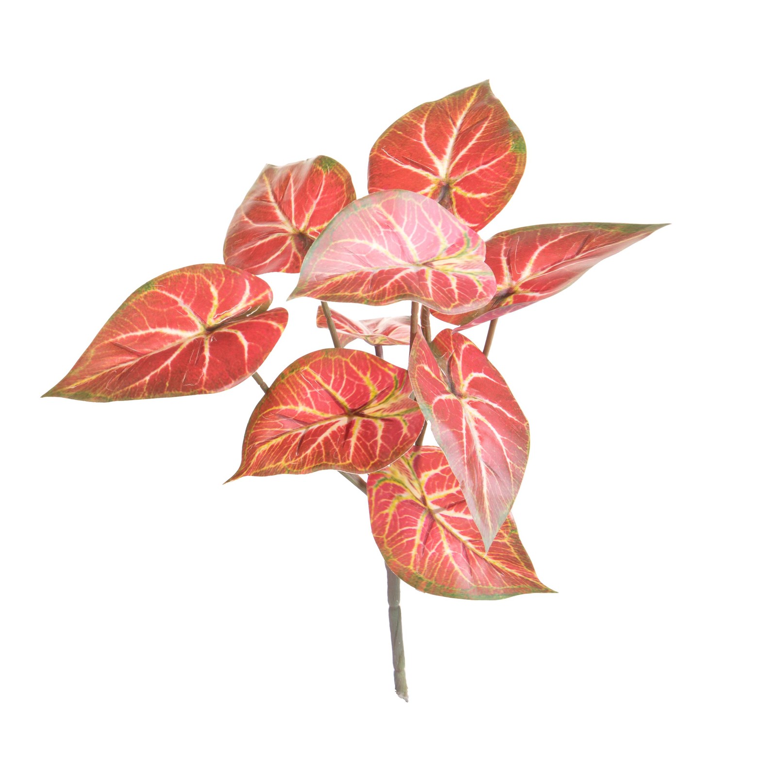 Foglie Syngonium Artificiali 31cm Real Touch - Set 6 Pezzi Convenienza