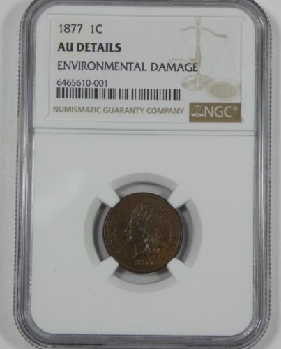 NGC Authentic 1877 Indian Head/Oak Wreath rev Cent AU Details 1-Cent