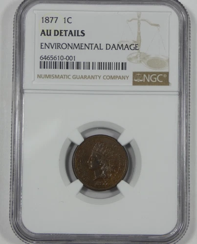 NGC Authentic 1877 Indian Head/Oak Wreath rev Cent AU Details 1-Cent