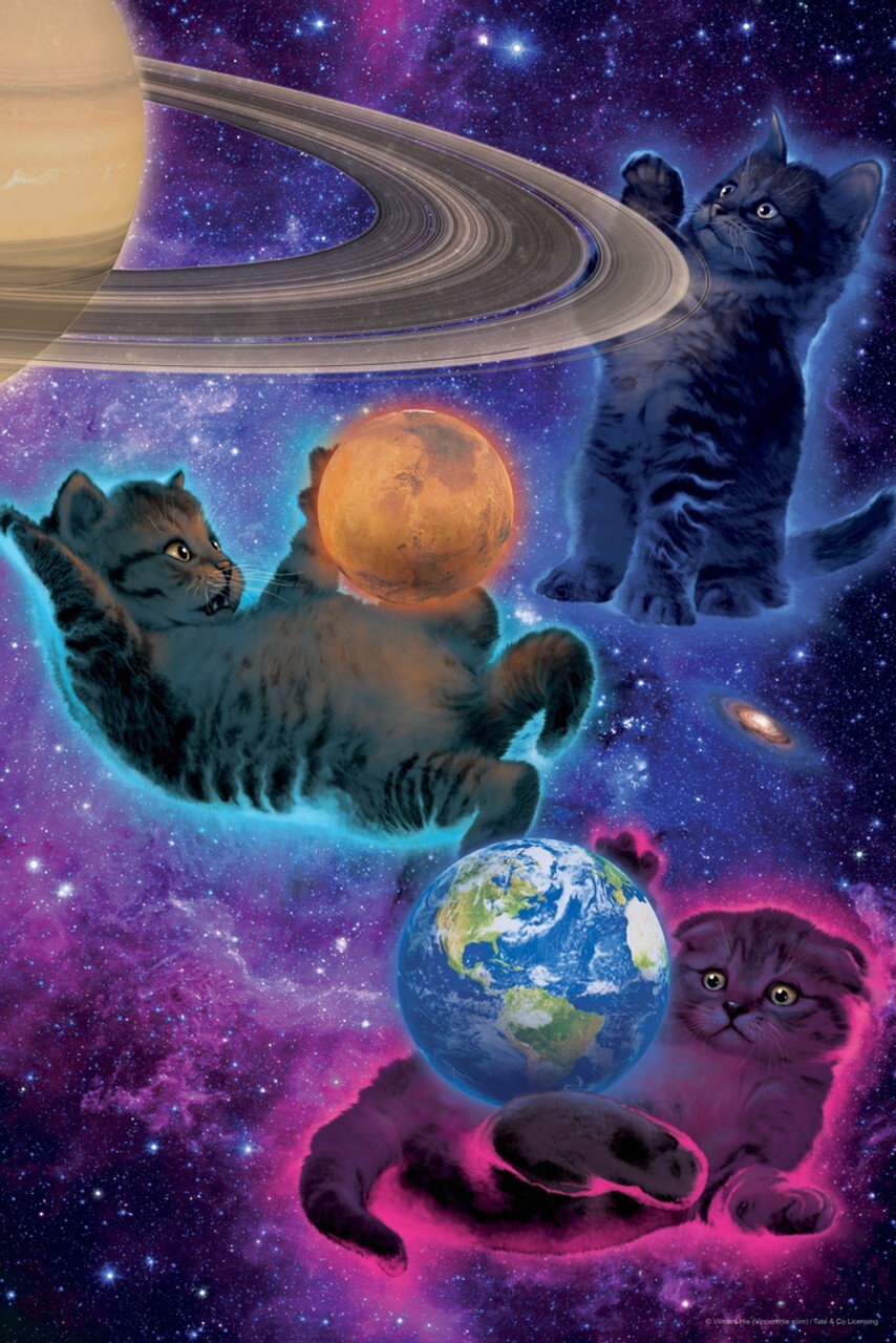 Cosmic Kittens Floating in Space Fantasy Cat Art Poster by Vincent Hie