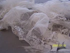 Antique 19th Century Embroidered Tulle Lace. White. Petticoat stockings. Ref No. 388