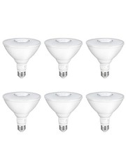 -Pack Flood Light Bulbs, PAR38 LED Outdoor Flood Light 6 3000k Warm Light