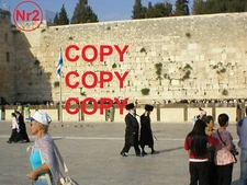 Digital Image photo jpeg picture