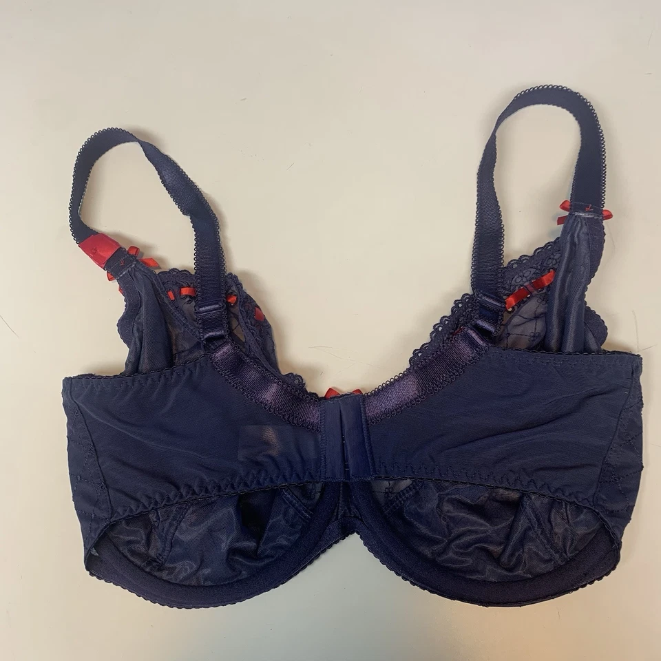 Curvy Kate 胸罩尺寸 US 38K 英国 38H Portia Balconette 蓝色红色丝带透明网眼布 — 第 2/4 张图片