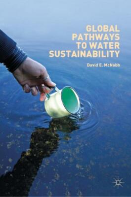 Global Pathways to Water Sustainability | Buch | 9783030040840