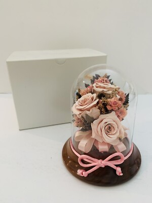Vintage Preserved Real Pink Roses in Glass Case *4 in x 5 in*