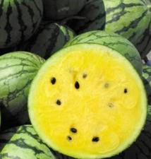 Yellow Sweet thin-skinned watermelon Seeds 16+