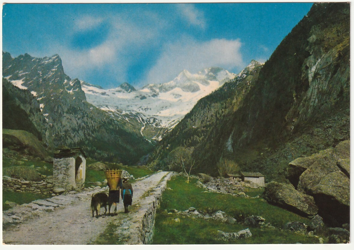 DINTORNI DI S. MARTINO - VAL DI MELLO - SONDRIO - VIAGG. -12086-