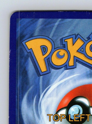 Tarjeta Pokémon Verde Básica Sewaddle HP 50 Multiplicar y Roer Ataque - Imagen 7 de 10