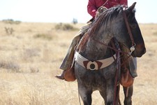 Breast Collar  Custom  Handmade, 100 Mohair