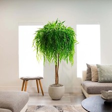 8  Willow Artificial Tree (Real Touch) w/ Nat...