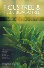 Ficus Tree and Ficus Bonsai Tree - The Complete Guide to Growing, Pruning and