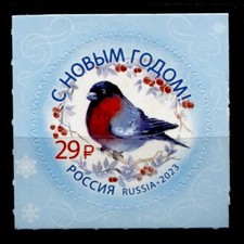 Capodanno 2024. Pettirosso (Erithacus rubecula). 1W(sk).  Russia 2023