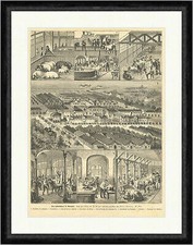 Das Schlachthaus in München Riegel Kollarz Schweine Rinder Faksimile_E 14796