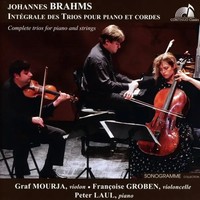 Klaviertrios Nr.1-3 | Johannes Brahms | Audio-Cd | CD | 2021 | EAN 3770000059281