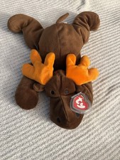 Rare TY Beanie Baby Chocolate the Moose in mint condition