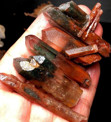 62g 5 Himalayas Phantom 'Green red Ghost' Lemuria QUARTZ Crystal Point r52 - Imagen 5 de 6