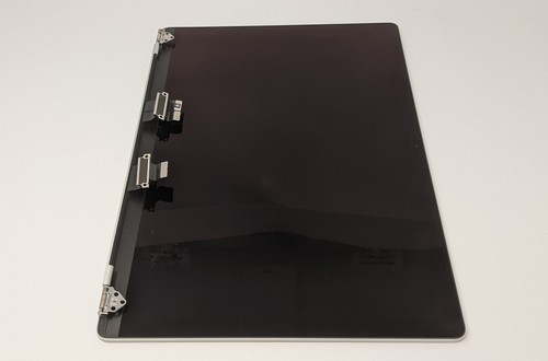 Genuine Apple MacBook Pro A2485 2021 M1 16" LCD Display Screen Assembly Silver - Afbeelding 18 van 33