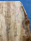 Bild 6 von 6