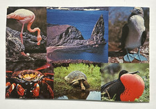 Flamingo Bartolome Island Crab Giant Tortoise...