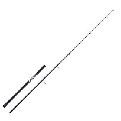 TENRYU Spinning Rod Spike SK772S-M