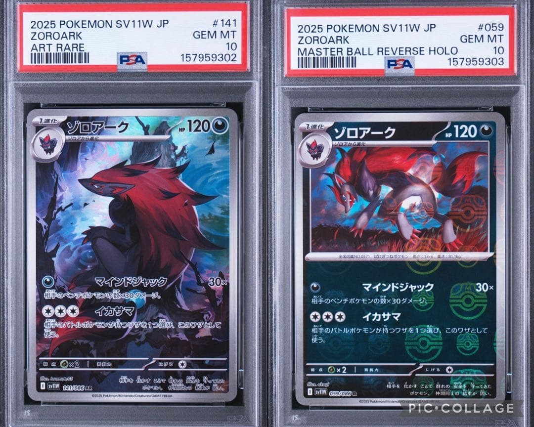 PSA10 Zoroark AR Master Ball Mirror from Japan