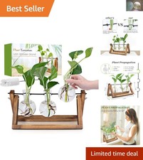 3 Bulb Glass Plant Propagation Station with Wooden Stand - Vintage Home Decor