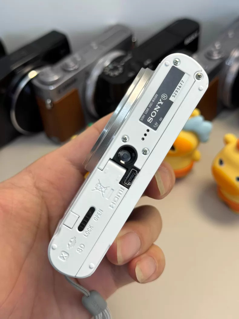 SONY Cyber-shot DSC-WX300 18.2MP 20x Zoom Compact Digital Camera