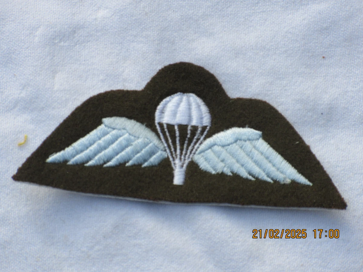 Lot De 19 Broches De Fermeture Incurvées Pour Parachute - Fonctionnelles
