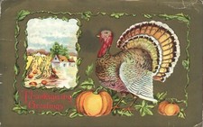 Thanksgiving Greetings Turkey, Pumpkin & Corn Stalks 1913 Embossed Postcard