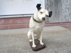Bild 8 von 8