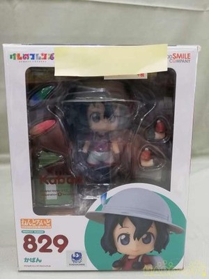 Nendoroid bag Nendoroid with bonus