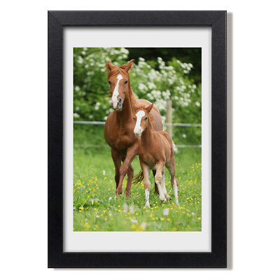 Tulup Photo 30x20cm Cadre Le salon MDF Décor Fleurs de printemps