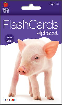 NEW Alphabet ABCs 36-Ct Flash Cards; Homeschool, Educational, Teaching, Learning