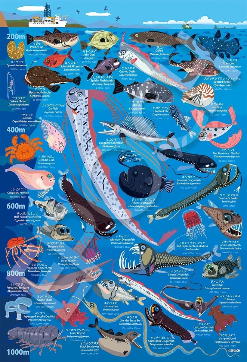 100-Piece Jigsaw Puzzle Deep-Sea Creatures Guide 200m-1000m