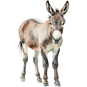 Farm Animals Donkey Self Adhesive Vinyl Sticker