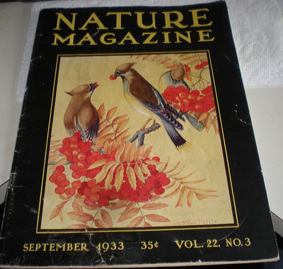 Nature Magazine September 1933 Volume 22 No. 3 Cedar Waxwing Cover Art