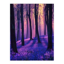 Realistic Purple Bluebell Forest Artwork Dawn Sun Wall Art Poster Print